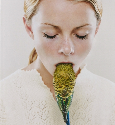 Petrina Hicks: Bleached Gothic book