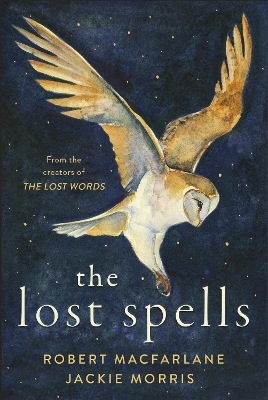 The Lost Spells book