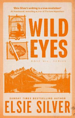 Wild Eyes: Discover the instant Sunday Times bestseller and your newest small town romance obsession! book