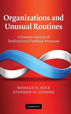 Organizations and Unusual Routines by Ronald E. Rice