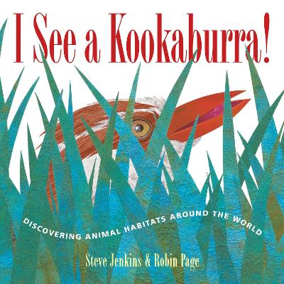 I See a Kookaburra! by Steve Jenkins