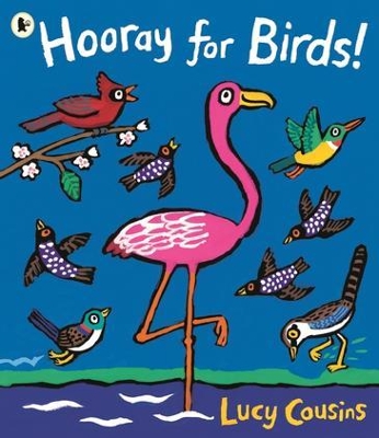 Hooray for Birds! book