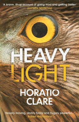 Heavy Light: A Journey Through Madness, Mania and Healing by Horatio Clare