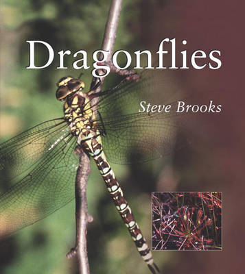 Dragonflies book