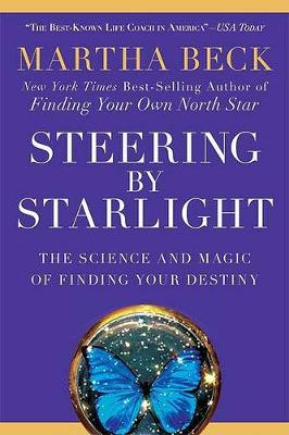 Steering by Starlight book