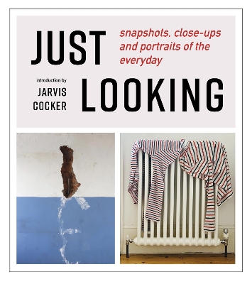 JUST LOOKING: snapshots, close-ups and portraits of the everyday book