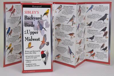 Sibley's Back. Birds of the Midwest book