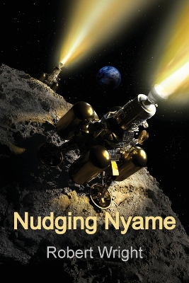 Nudging Nyame book