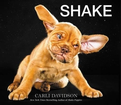 Shake by Carli Davidson