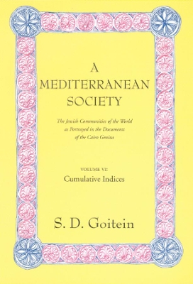 A A Mediterranean Society by S. D. Goitein