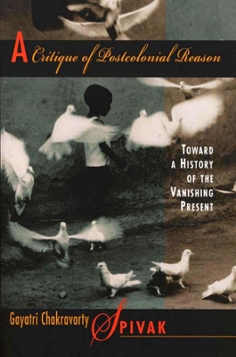 Critique of Postcolonial Reason book