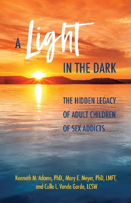 A Light in the Dark: The Hidden Legacy of Adult Children of Sex Addicts book
