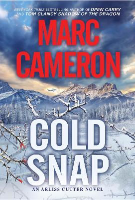 Cold Snap: An Action Packed Novel of Suspense book