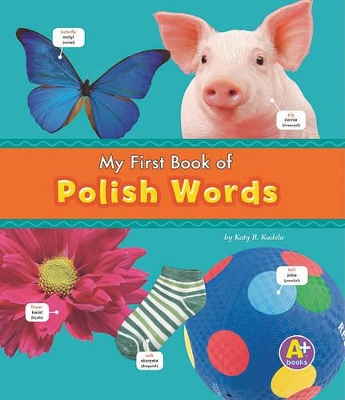 My First Book of Polish Words book