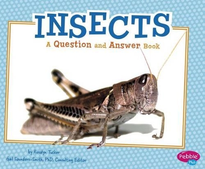 Insects QandA by Gail Saunders-Smith