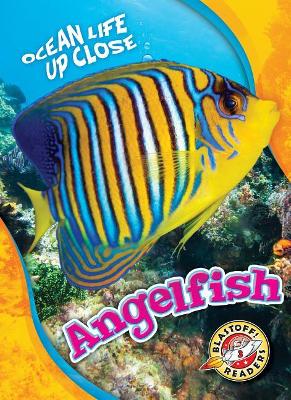 Angelfish book