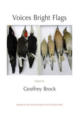 Voices Bright Flags book