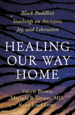 Healing Our Way Home: Black Buddhist Teachings on Ancestors, Joy, and Liberation book