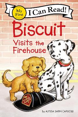 Biscuit Visits The Firehouse book