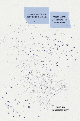 Clairvoyant of the Small: The Life of Robert Walser book