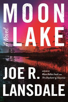 Moon Lake book