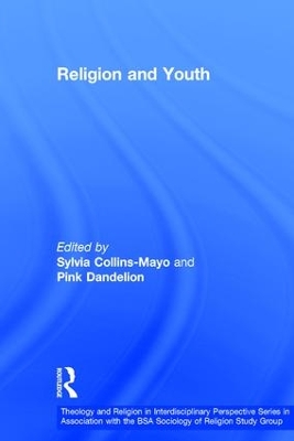 Religion and Youth book