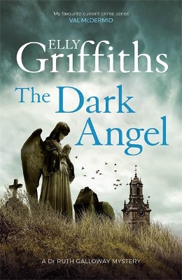 Dark Angel book