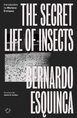 The Secret Life of Insects book