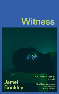 Witness book