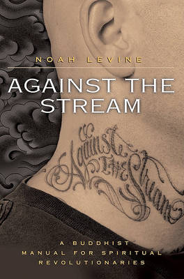 Against the Stream book