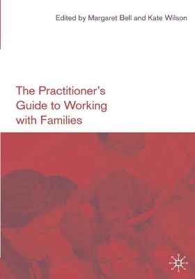 Practitioner's Guide to Working with Families book