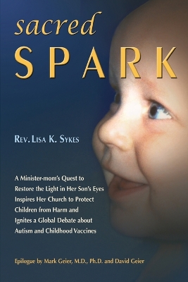Sacred Spark book