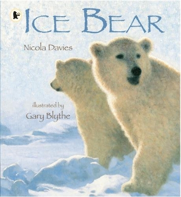 Ice Bear book