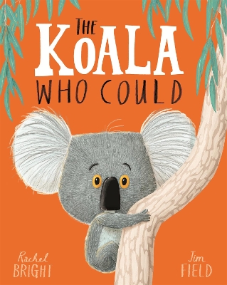 Koala Who Could book