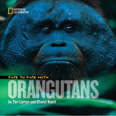 Face to Face with Orangutans by Tim Laman
