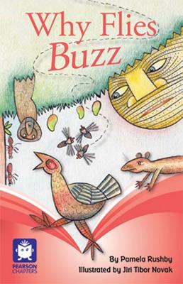 Pearson Chapters Year 3: Why Flies Buzz (Reading Level 25-28/F&P Level P-S) book