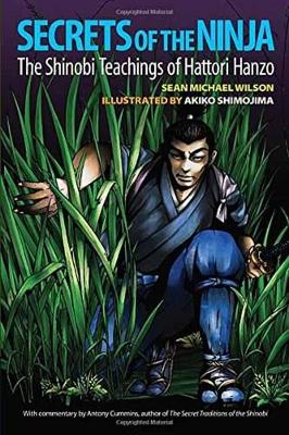 Secrets Of The Ninja book
