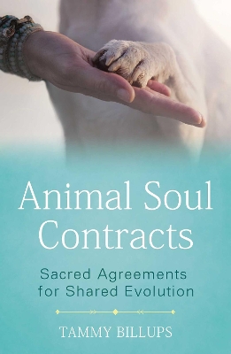 Animal Soul Contracts: Sacred Agreements for Shared Evolution by Tammy Billups
