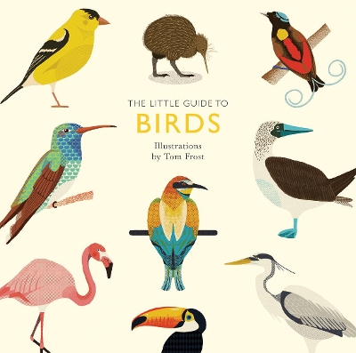 Little Guide to Birds book