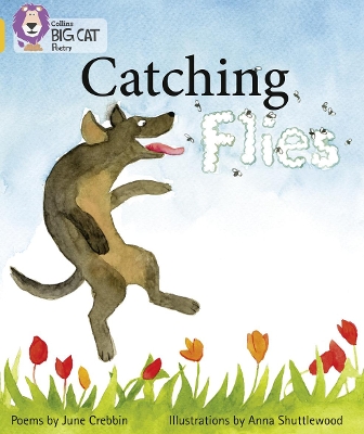 Catching Flies: Band 09/Gold (Collins Big Cat) by June Crebbin