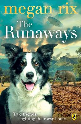 Runaways book