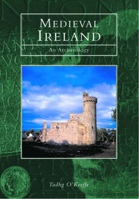 Medieval Ireland book