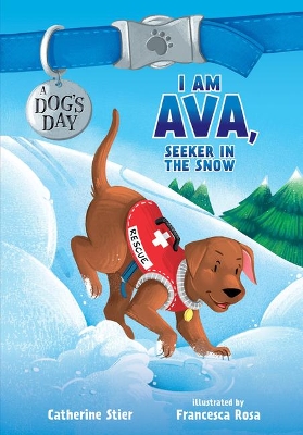 I am Ava, Seeker in the Snow book