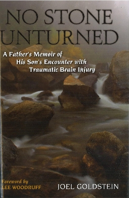 No Stone Unturned book