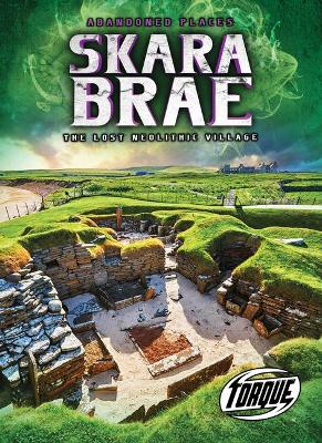 Skara Brae: The Lost Neolithic Village book