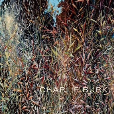 Charlie Burk: Journey in Abstraction book