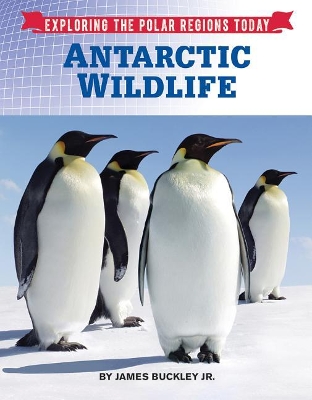 Antarctic Wildlife book