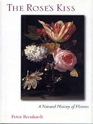 Rose's Kiss book