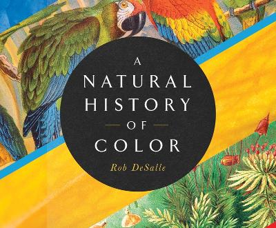 A Natural History of Color: The Science Behind What We See and How We See It by Rob DeSalle