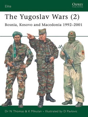 Yugoslav Wars book